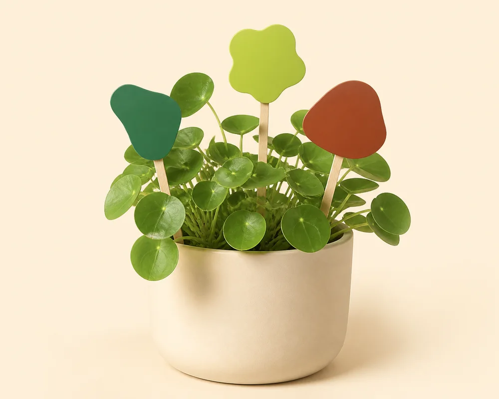 Projection conceptuelle — Trio de mini-panneaux